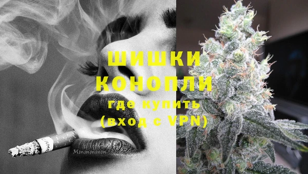 ПСИЛОЦИБИНОВЫЕ ГРИБЫ Покров