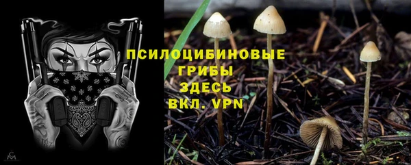 2c-b Балахна