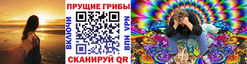 Галлюциногенные грибы Cubensis  Фрязино 